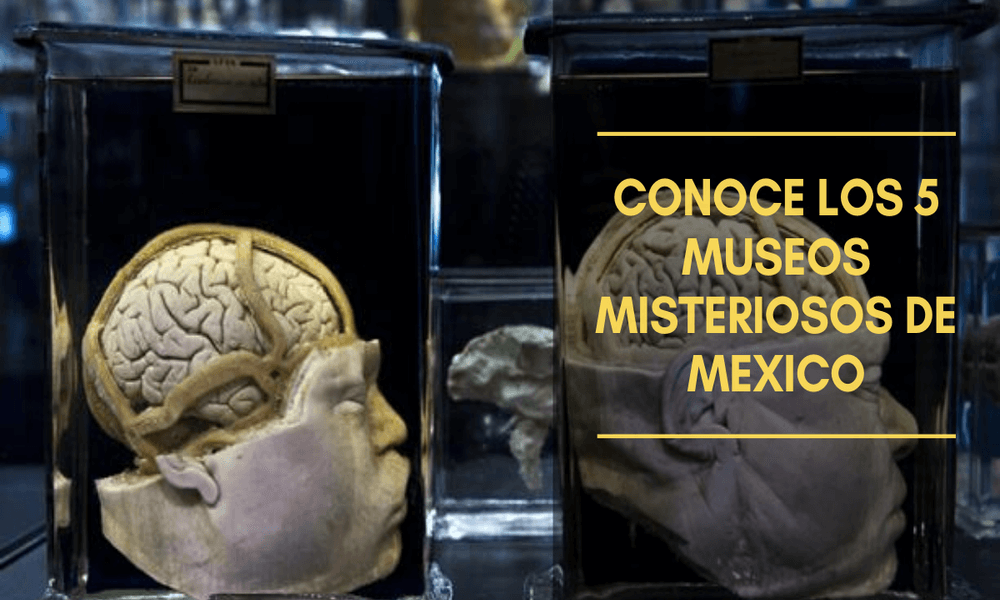 museos misteriosos de mexico