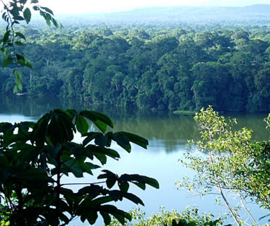 visita a sitios ecológicos son las tendencias para este 2020