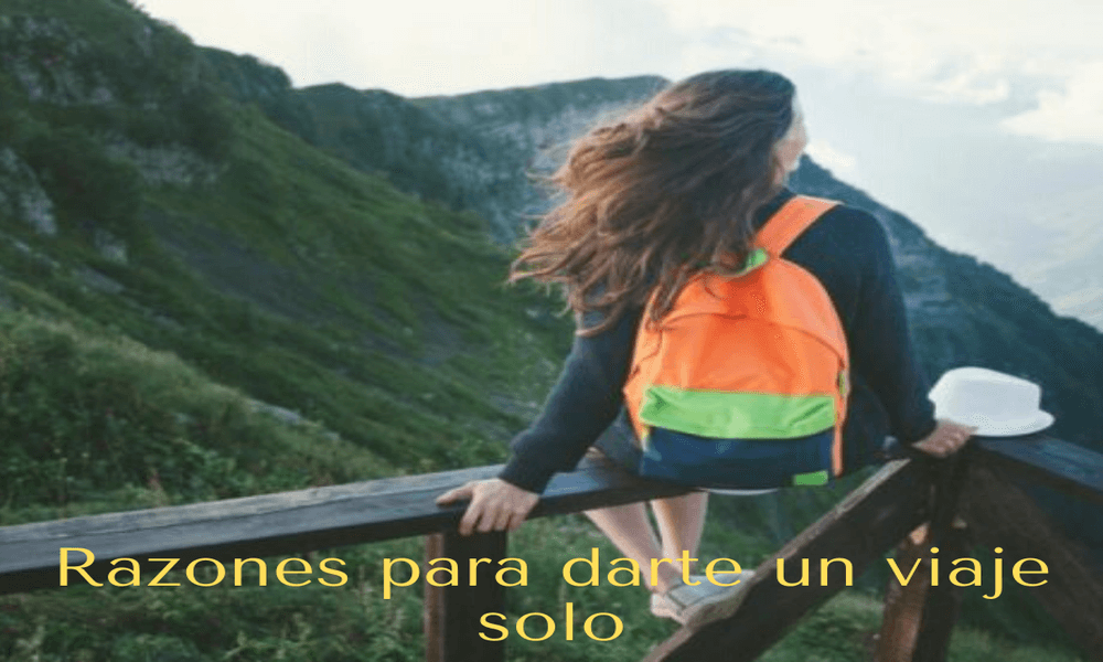 darse un viaje solo