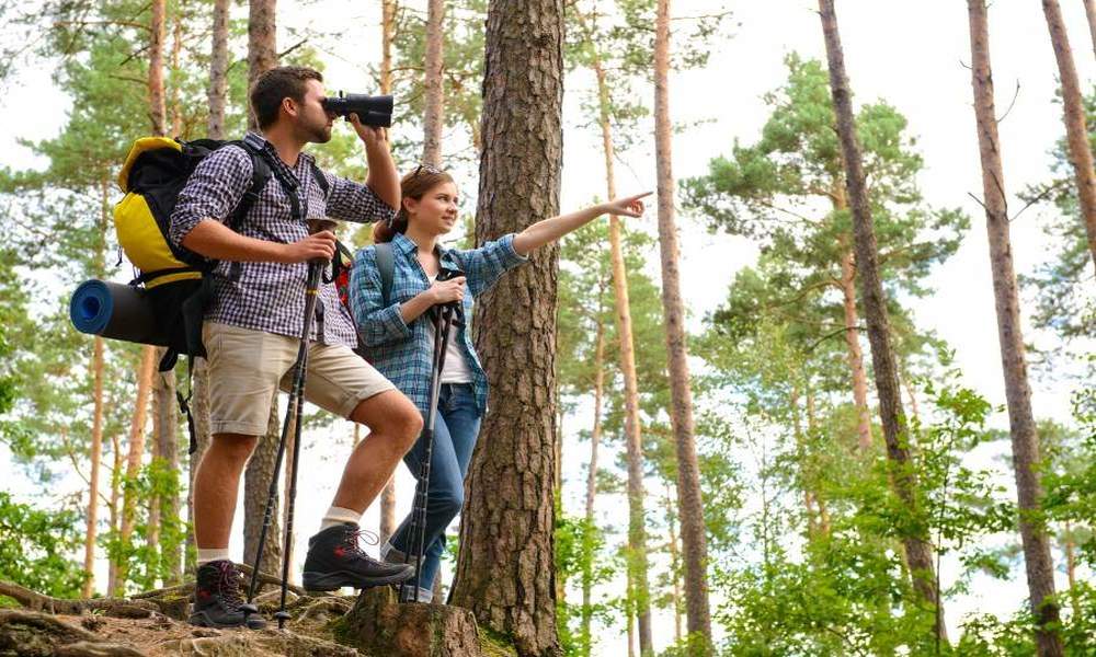 estas son las tendencias de turismo para el 2020