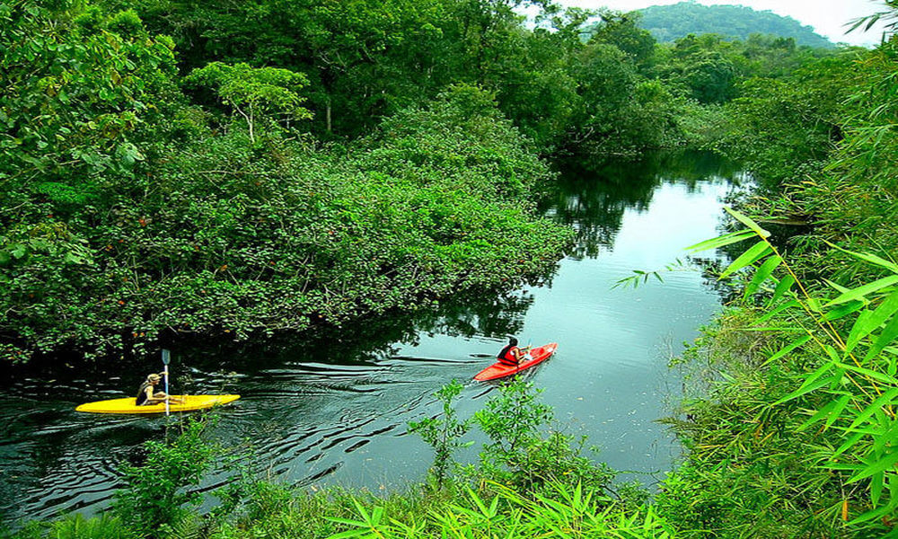 ecoturismo o turismo ecológico