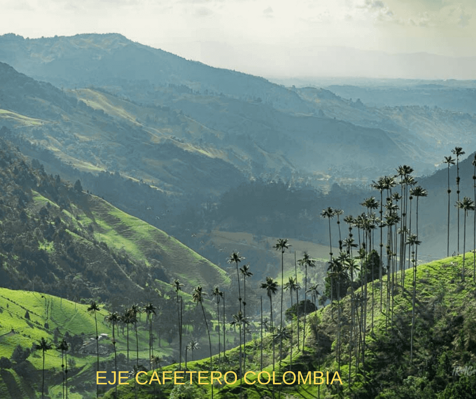 EJE CAFETERO COLOMBIA- 5 destinos de américa 