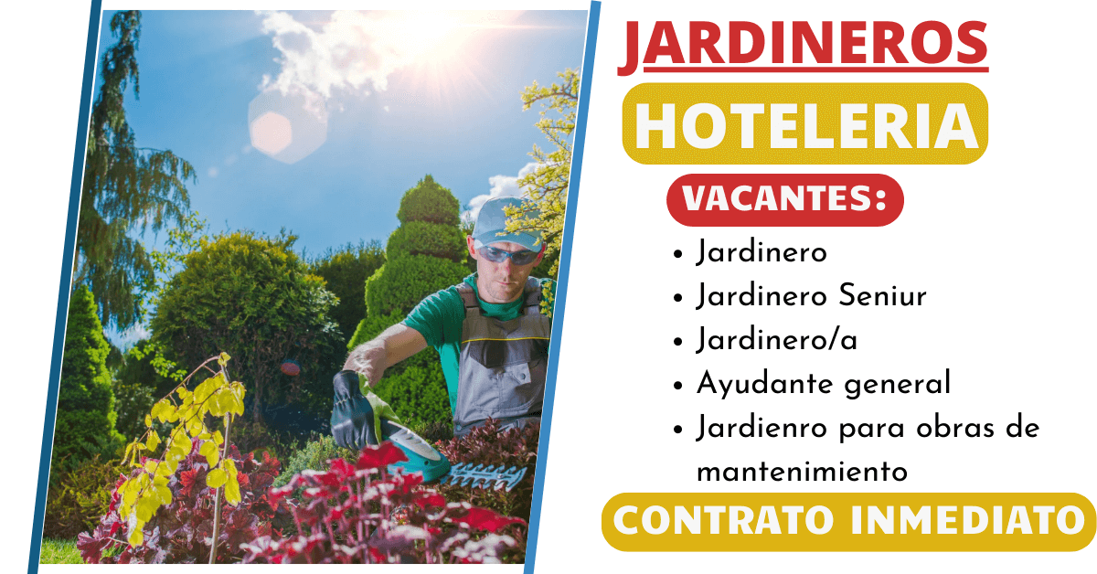 Convocatoria laboral